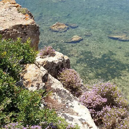 Lejlighed La Caletta